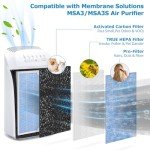 MSA3 True HEPA Replacement Filters (2-Pack)