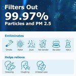 MSA3 True HEPA Replacement Filters (2-Pack)