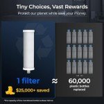 Waterdrop AP13 2-in-1 Under Sink Filter System