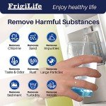 FRIGILIFE 3-Pack Water Filter Replacement for GE