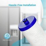 Aqua Crest WF1CB Refrigerator Water Filter Pack of 6