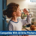 OMNIFilter Pitcher Water Filter Replacement, 3-Pack