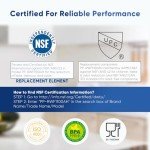 PUREPLUS NSF Certified Water Filter Replacement 3-Pack
