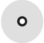 Pentair OMNIFilter RS18 Whole House Water Filter