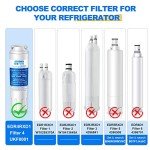 Golden IcePure RWF0900A Water Filter 2-Pack