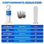 Golden IcePure RWF0900A Water Filter 2-Pack