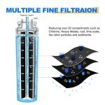 Golden IcePure RWF0900A Water Filter 2-Pack