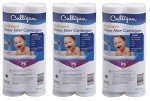 Culligan P5 Whole House Water Filter Set