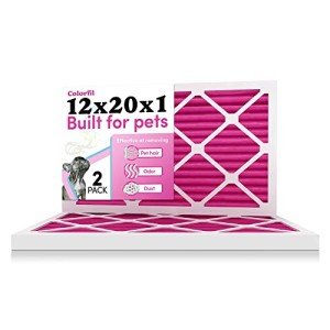 Color Changing 12x20x1 Air Filter for Pets