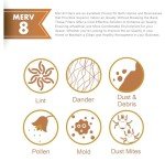 Proairtek 12x20x1 MERV 8 Air Filter