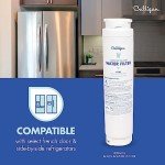 Culligan Refrigerator Water Filter Replacement for Bosch