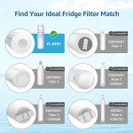 Pack of 4 Refrigerator Water Filters for Whirlpool