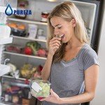 Pureza WF2CB Water Filter Replacement - 3 Pack