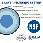 NSF-53 Replacement Water Filter for LG & Kenmore