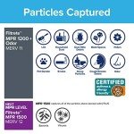 Filtrete 20x20x1 Air Filters, MPR 1200, 6-Pack