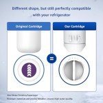 Waterdrop Plus Replacement Filters for Everydrop® - 3 Pack