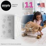 20x20x4 MERV 11 Air Filter 2-Pack