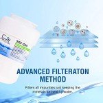 Swift Green SGF-G9 Water Filter for Refrigerators