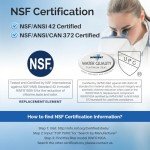 ICEPURE 5231JA2002A Water Filter Compatible with LG