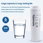 Kenmore 9084 Water Filter Replacement - 2-Pack