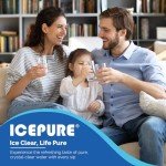 ICEPURE 5231JA2002A Water Filter Compatible with LG