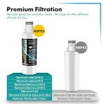 ICEPURE Plus Replacement Water & Air Filter Combo