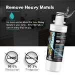 ICEPURE Plus Replacement Water & Air Filter Combo