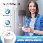 ICEPURE Inline Water Filter Replacement Cartridge 2-Pack