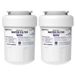 Amazon Basics Water Filter Cartridge for GE MWF 2-Pack