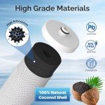 ICEPURE WF1CB Water Filter for Frigidaire & Kenmore