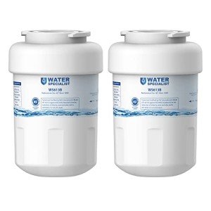 Waterspecialist WS613B Refrigerator Water Filter, 2 Pack
