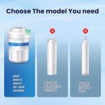 Golden IcePure RWF0600A Water Filter Replacement