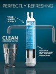 BOGDA 4396841 Compatible Water Filter Replacement (2-pack)