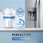 Golden IcePure RWF0600A Water Filter Replacement