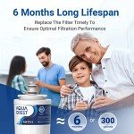 AQUACREST Replacement Water Filters - 2 Pack