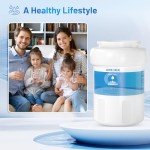 Arlide Water Filter Replacement (2 Pack)