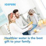 ICEPURE CS-52 Compatible Refrigerator Water Filter