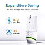 ICEPURE CS-52 Compatible Refrigerator Water Filter