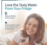 OHFULLS Water Filter RWFVRF Replacement, 2-Pack