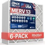BNX TruFilter MERV 13 Air Filters (6-Pack)