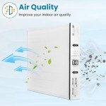 PGAPXCAR1625 MERV 13 Replacement Air Filter