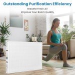 PGAPXCAR1625 MERV 13 Replacement Air Filter