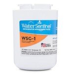 WaterSentinel WSG-1 Refrigerator Filter for GE MWF