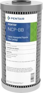 Pentair Pentek Big Blue Carbon Water Filter Cartridge