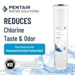 Pentair RFC-BB Big Blue Carbon Water Filter