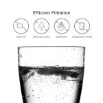 Fisher & Paykel Water Filter for Clean Taste