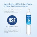 Waterdrop 847200 Replacement Water Filters for Fisher & Paykel