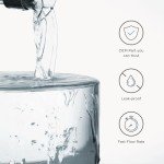 Fisher & Paykel Refrigerator Water Filter - 1 Pack