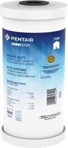 Pentair OMNIFilter TO8 Carbon Water Filter Cartridge
