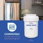Culligan Refrigerator Water Filter - GE MWF Replacement